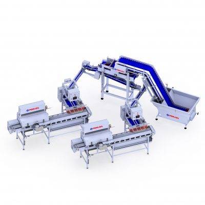 Automater for pelagisk fisk