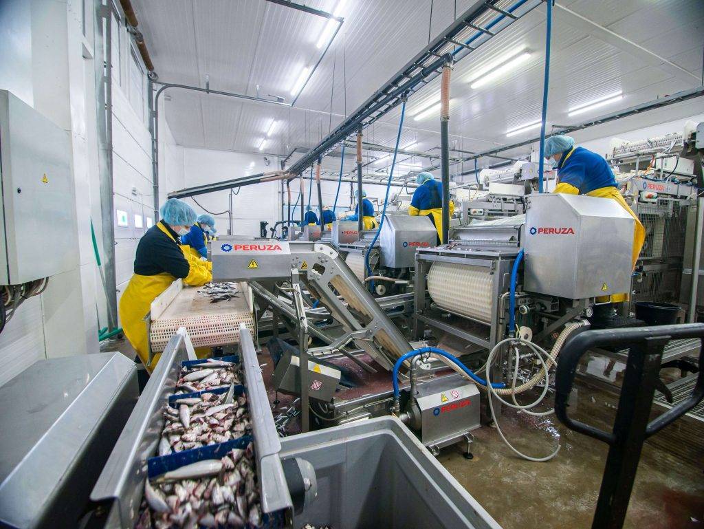Peruza workers